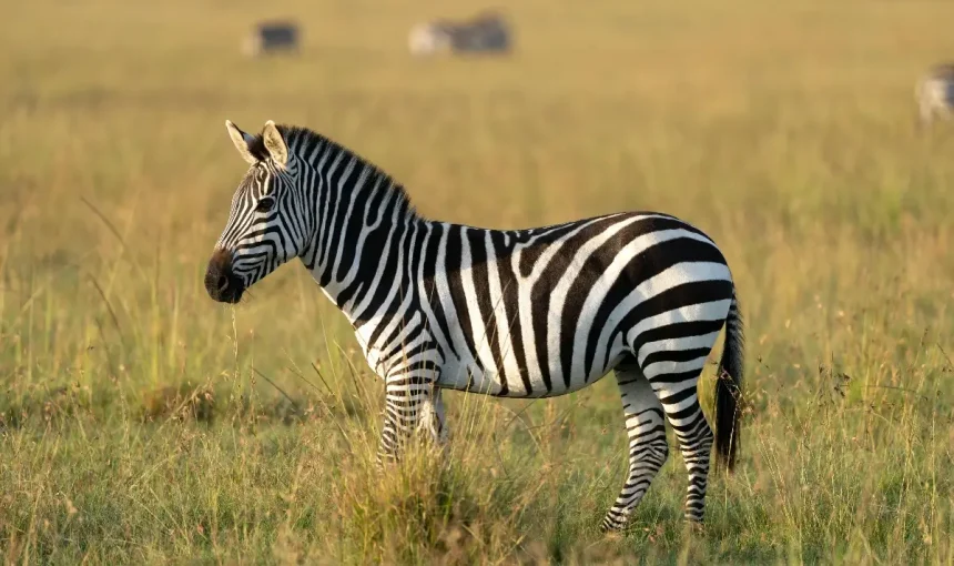 The Ultimate Guide to Everest Base Camp Trek